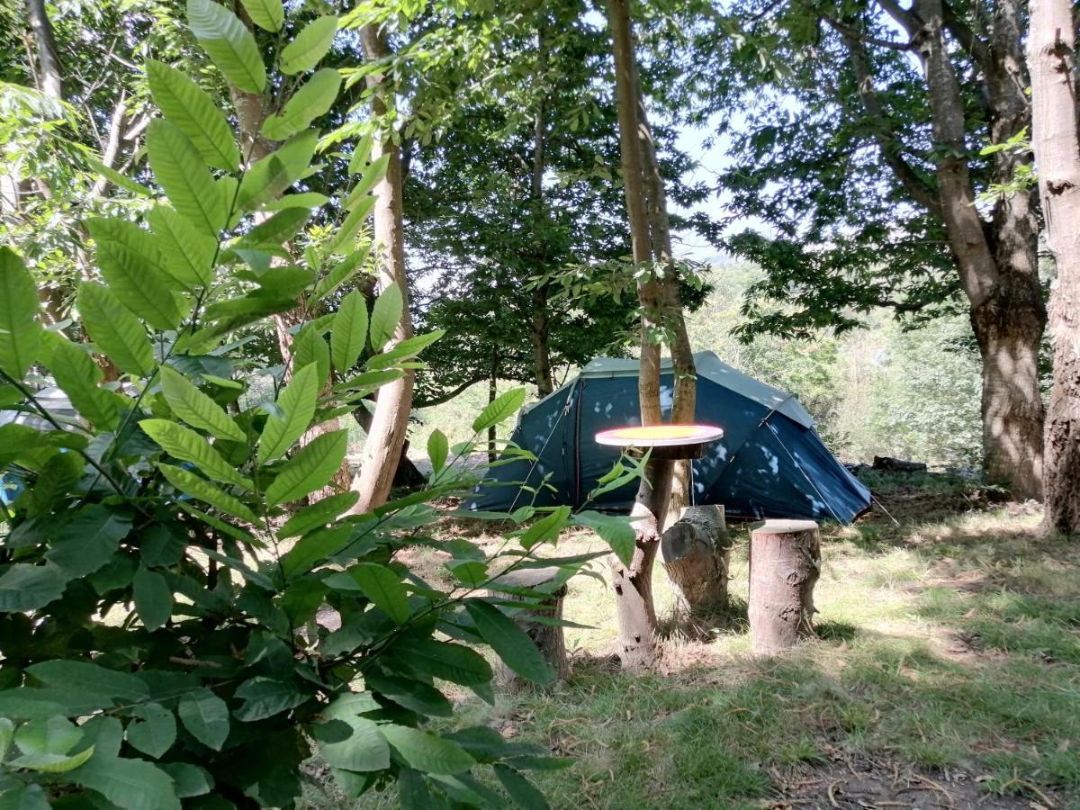 La Finca - Campamento en la Naturaleza Carranceja Exterior foto