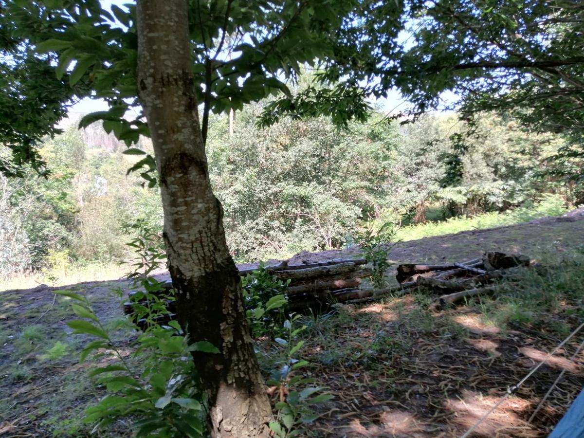 La Finca - Campamento en la Naturaleza Carranceja Exterior foto