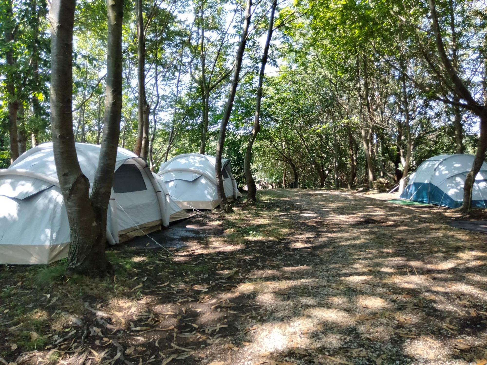 La Finca - Campamento en la Naturaleza Carranceja Exterior foto