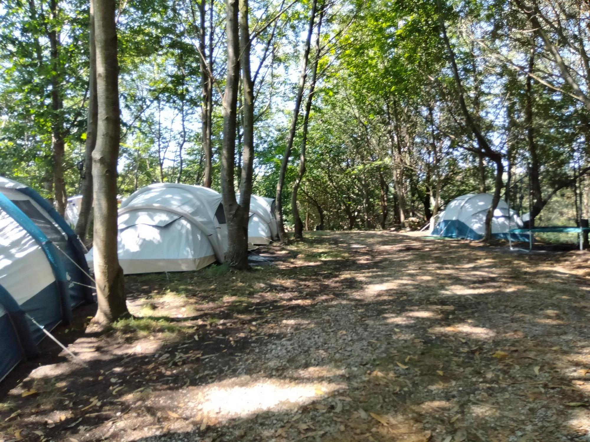 La Finca - Campamento en la Naturaleza Carranceja Exterior foto