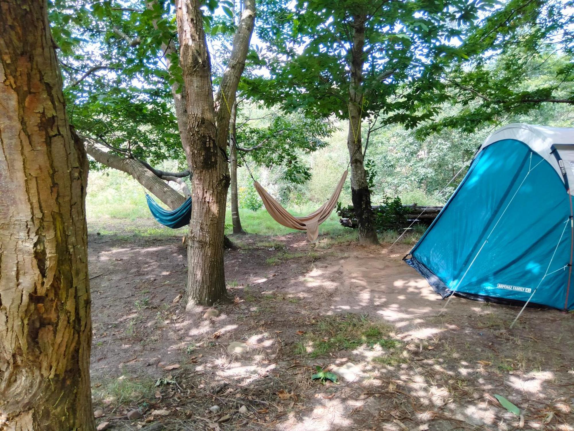 La Finca - Campamento en la Naturaleza Carranceja Habitación foto