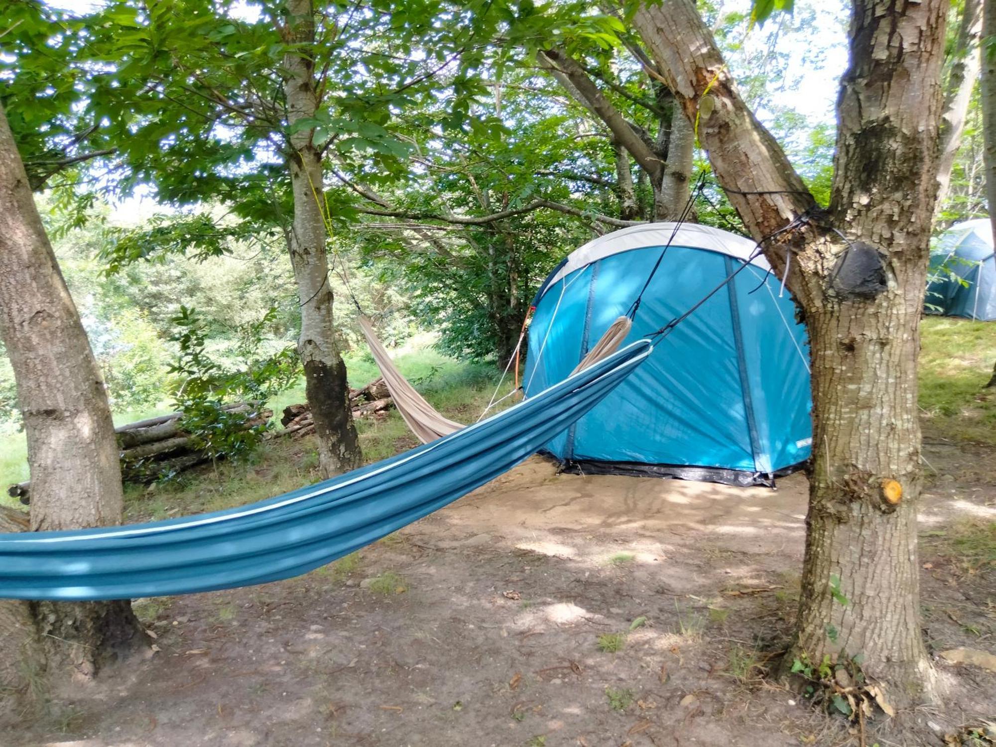 La Finca - Campamento en la Naturaleza Carranceja Habitación foto