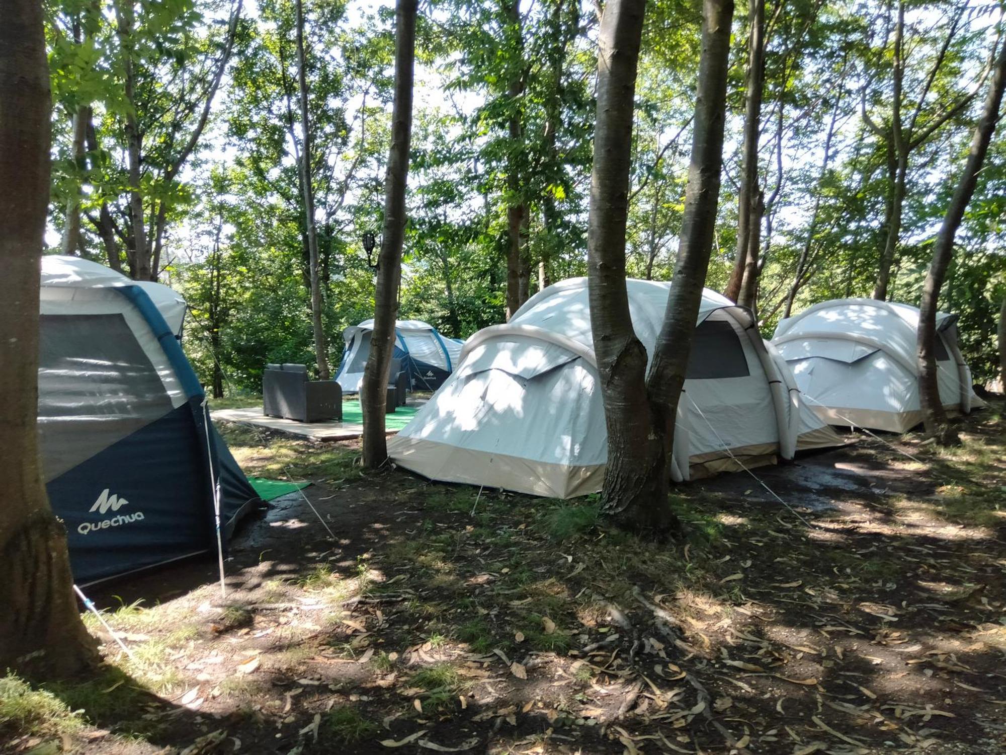 La Finca - Campamento en la Naturaleza Carranceja Habitación foto