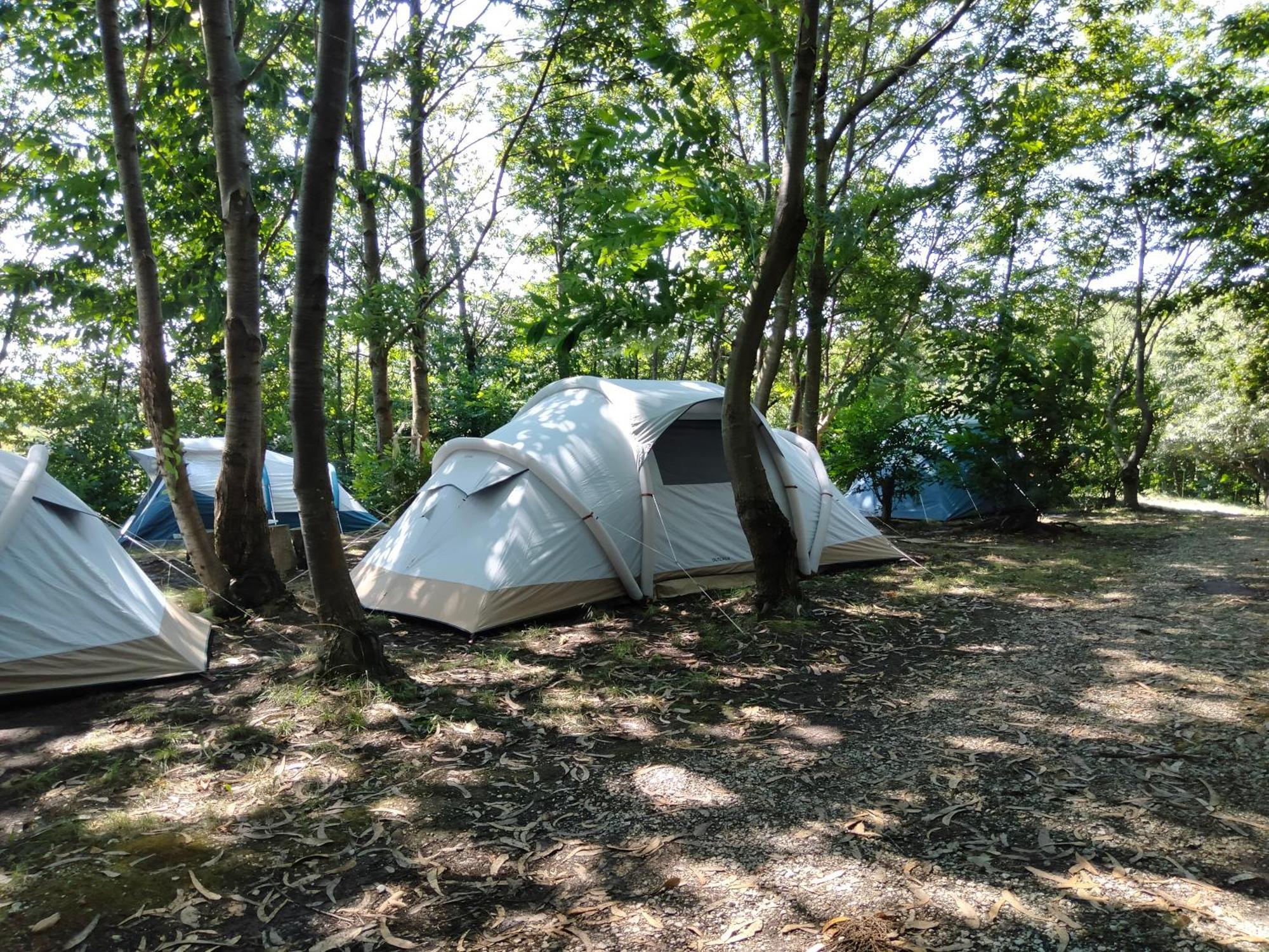 La Finca - Campamento en la Naturaleza Carranceja Habitación foto