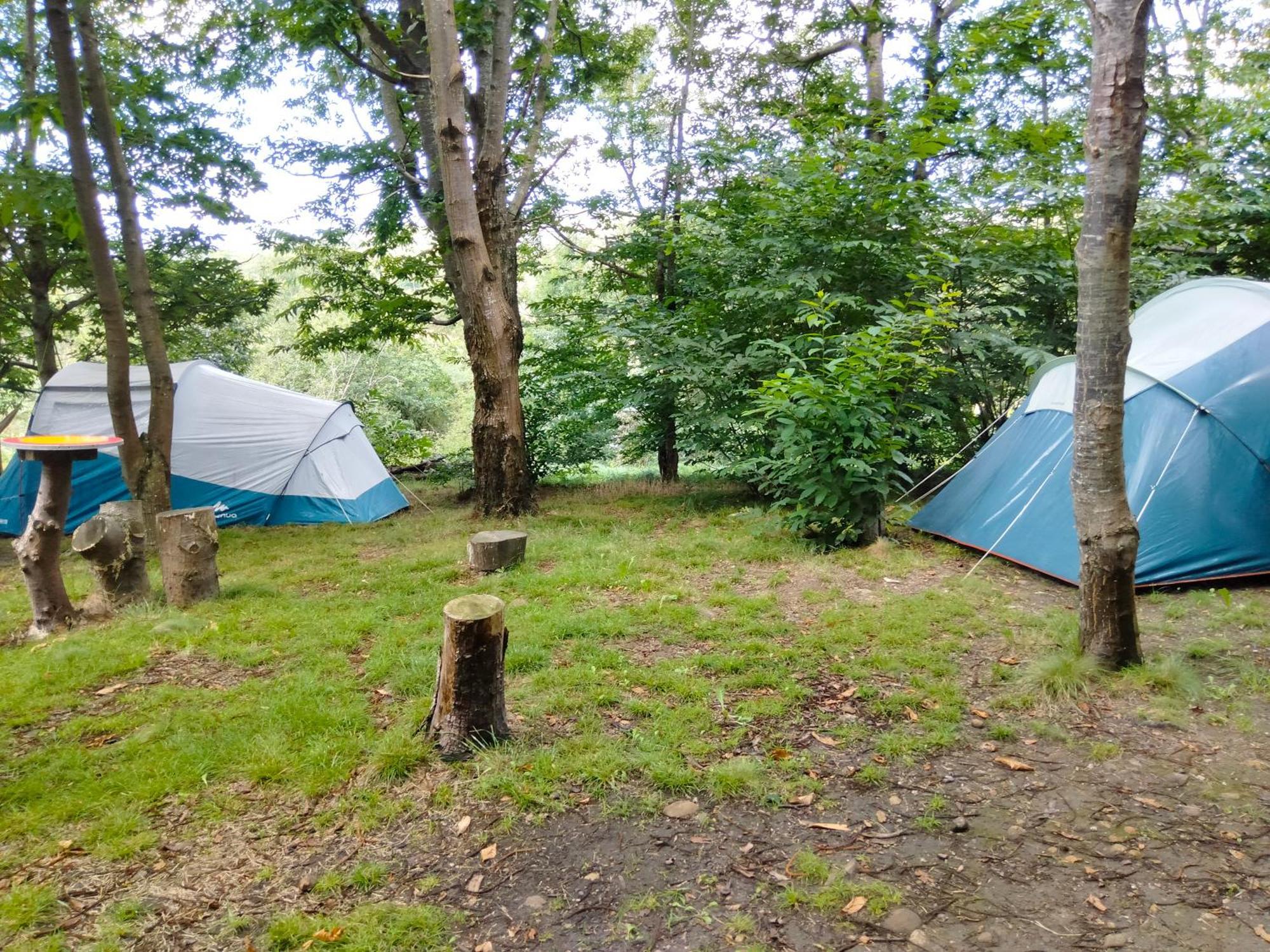 La Finca - Campamento en la Naturaleza Carranceja Habitación foto