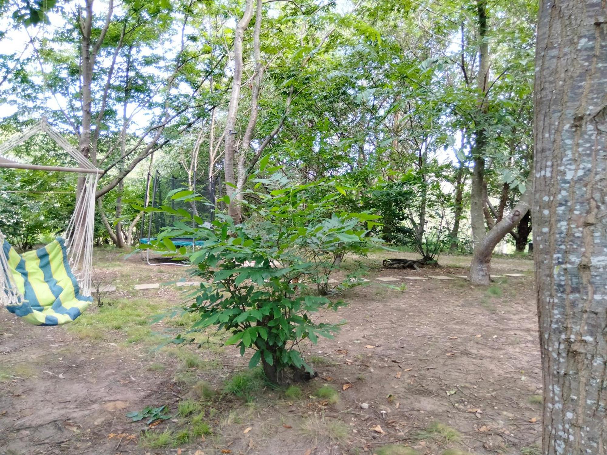 La Finca - Campamento en la Naturaleza Carranceja Habitación foto